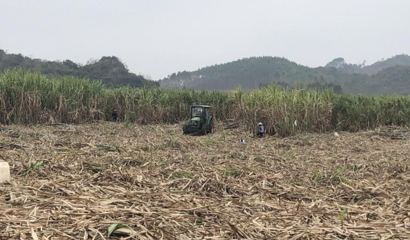 1596783774640034244.png image.png