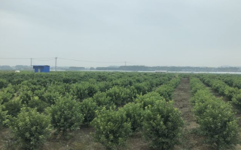 1596783789223062103.png image.png