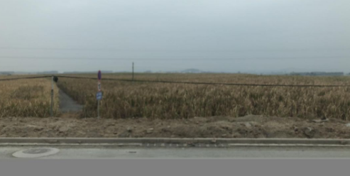 1596783809524042828.png image.png