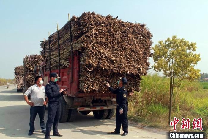 1599045291050023185.jpg 1.jpg