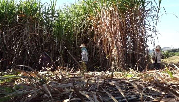 1609116296104002795.jpg 3.jpg