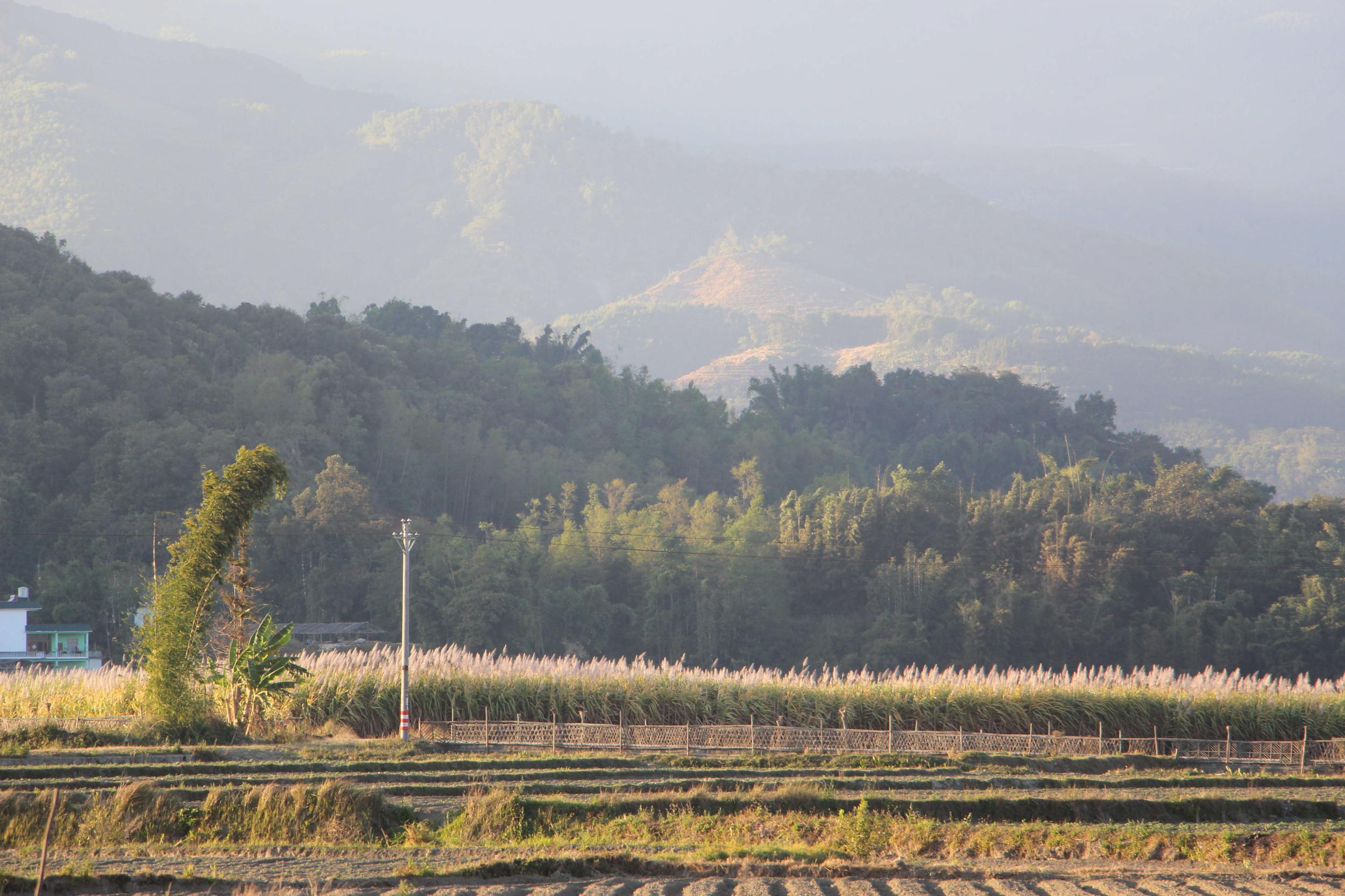 1609220218610075797.jpg 13.jpg