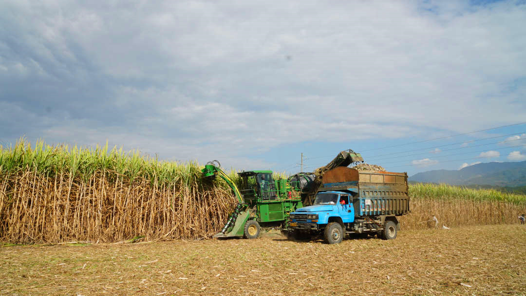 1609220272859039383.jpg 14.jpg