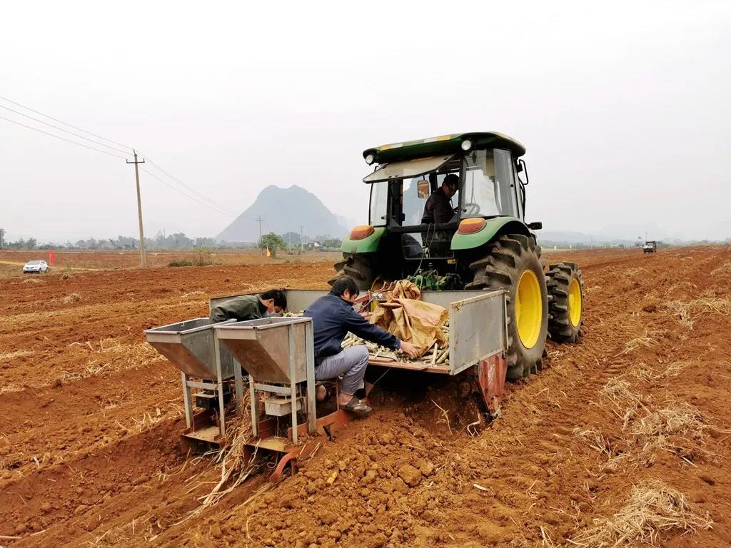 1610412757850014133.jpg 1.jpg