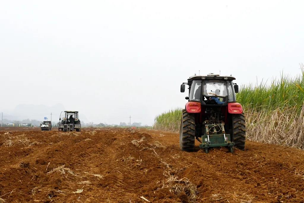 1610412769974050302.jpg 2.jpg