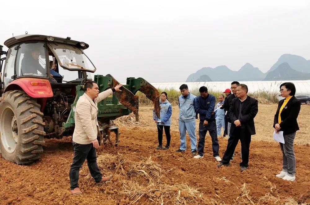 1610412807879011276.jpg 3.jpg