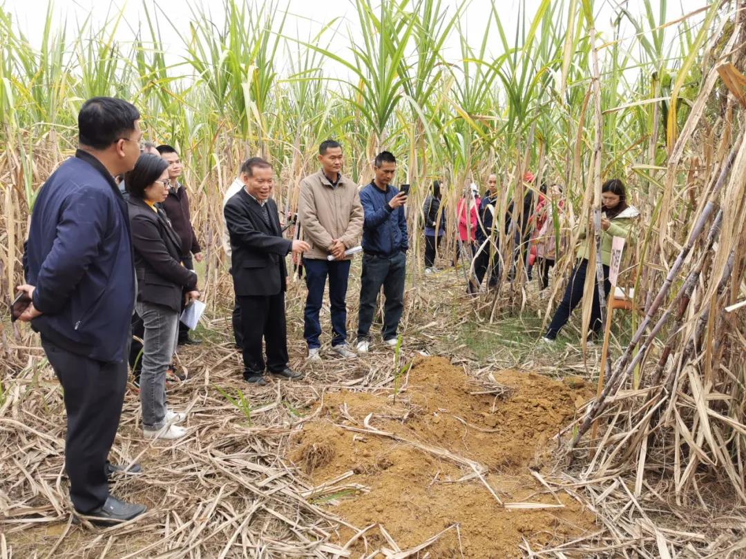 1610412853908058370.jpg 5.jpg