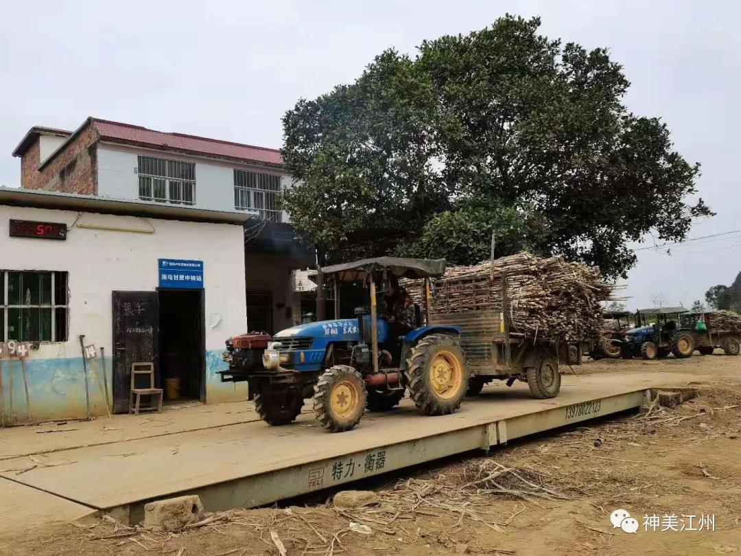 1611016677509059976.jpg 20.jpg