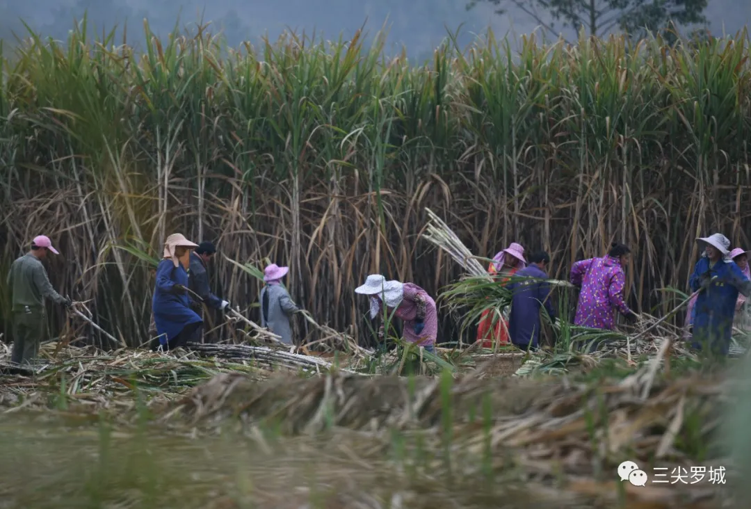 1616371640189032363.png image.png