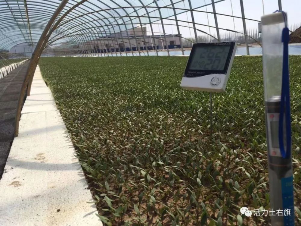 1619138763567039495.jpg 13.jpg