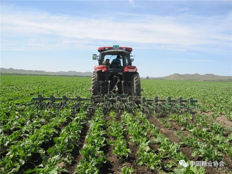 1621903163952001015.png image.png