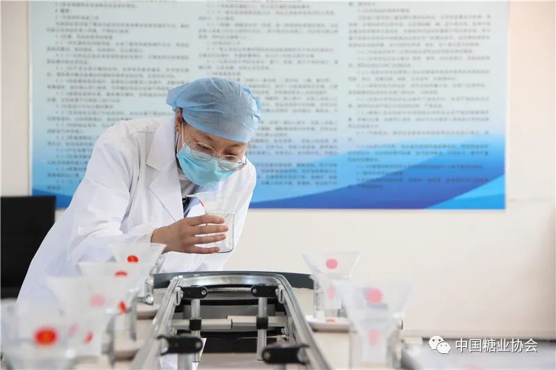 1621903188981025749.png image.png