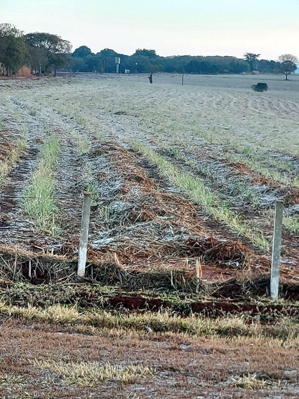 1627715339941016728.jpg 6.jpg