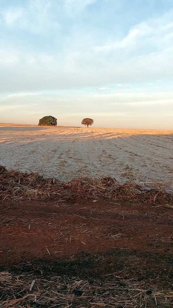 1627715364270061812.jpg 7.jpg