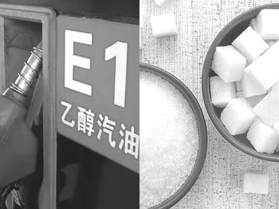 1649725570415062368.jpg 20220411210508_12.jpg