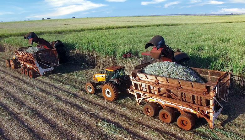 1652422102835007241.jpg 20220513-1.jpg