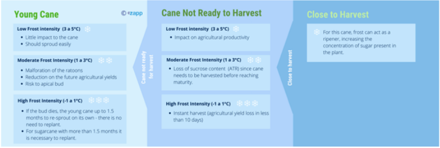 1652856676697084257.png image.png