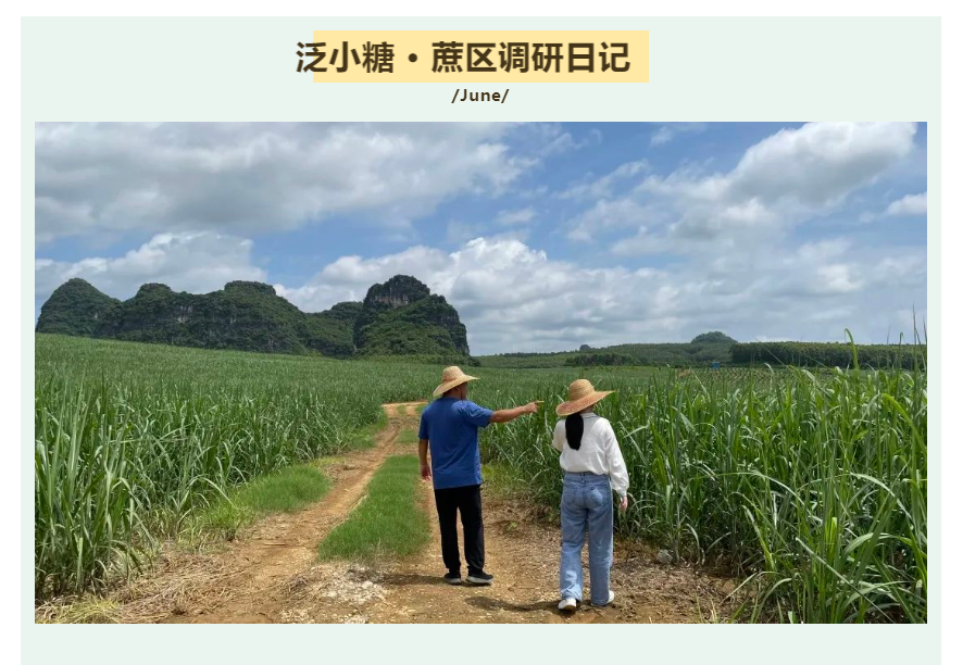 1655859260074065103.png image.png