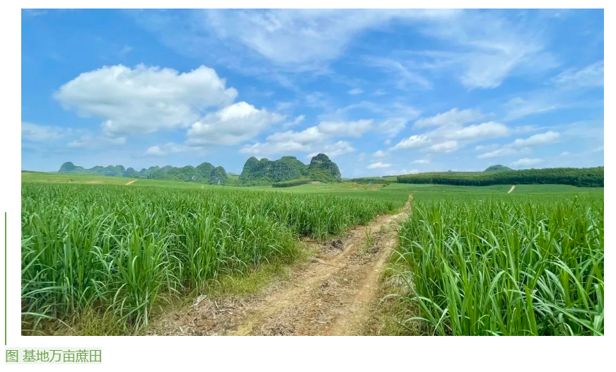 1655859350824087526.png image.png