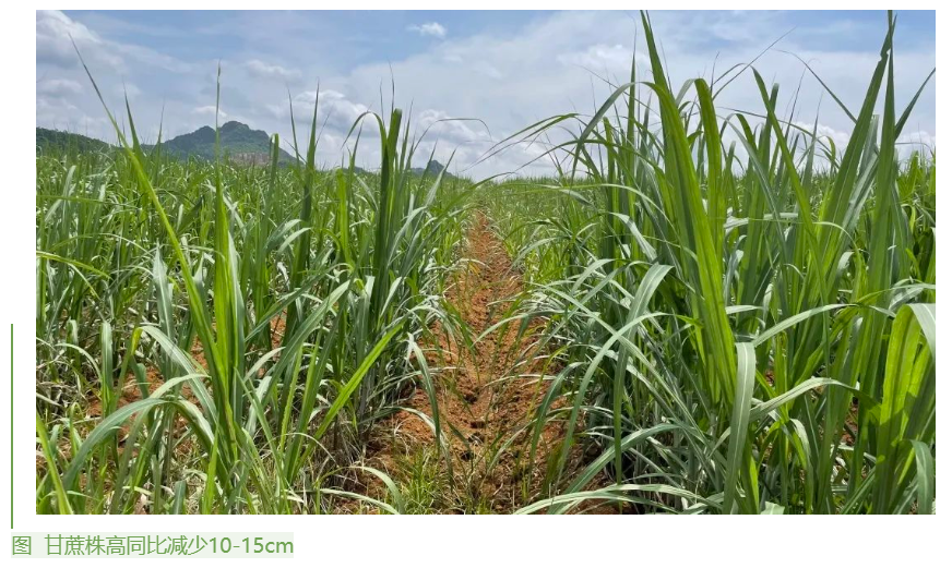 1655859395278089612.png image.png