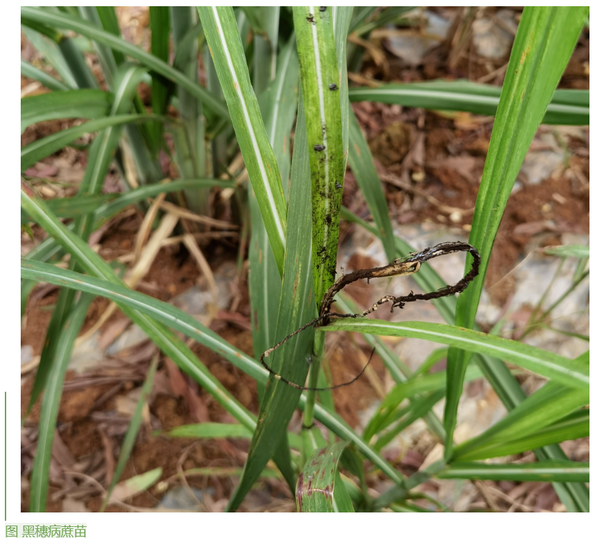 1655859412905052895.png image.png