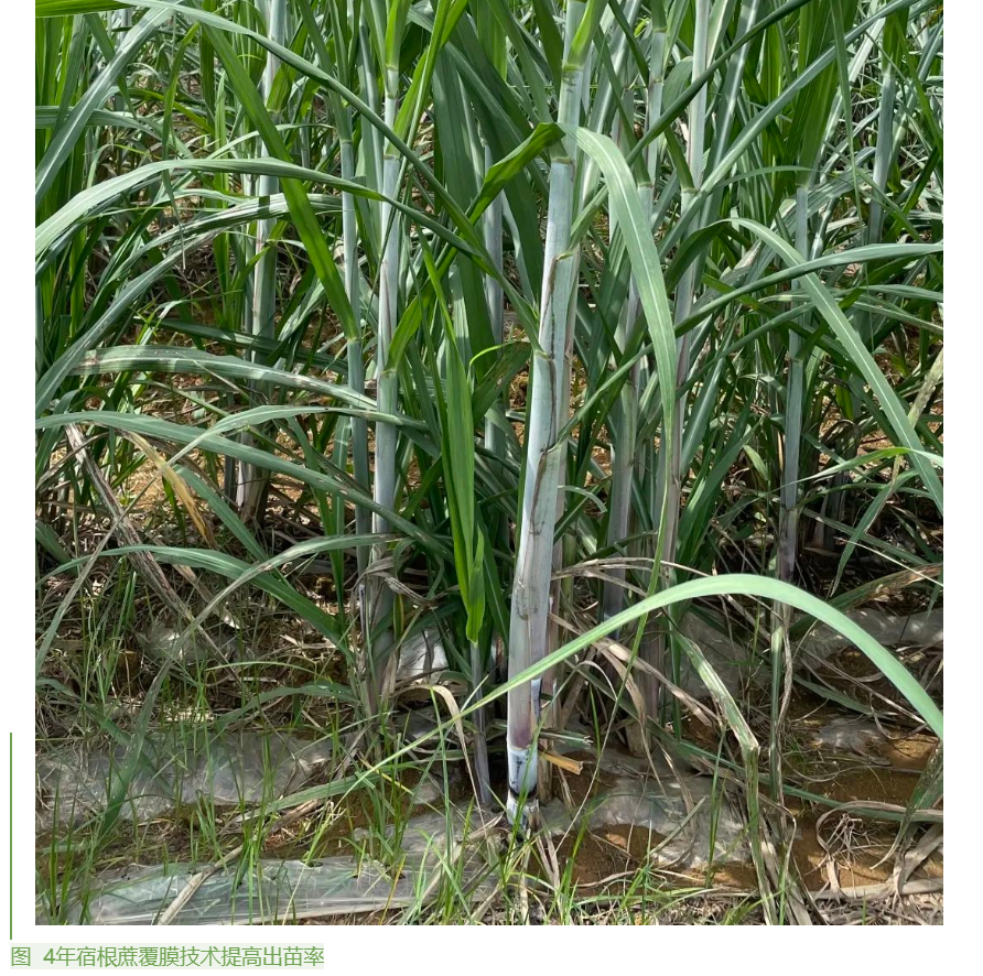 1655859477015082114.png image.png