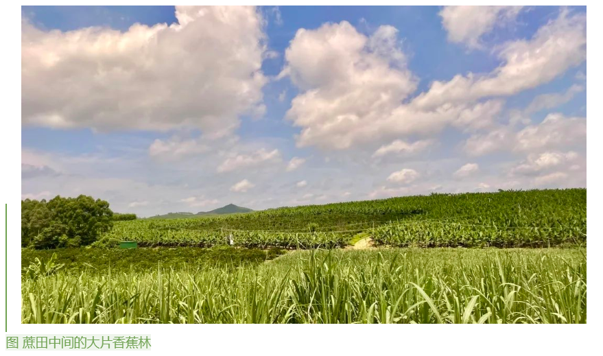 1655859526683074650.png image.png