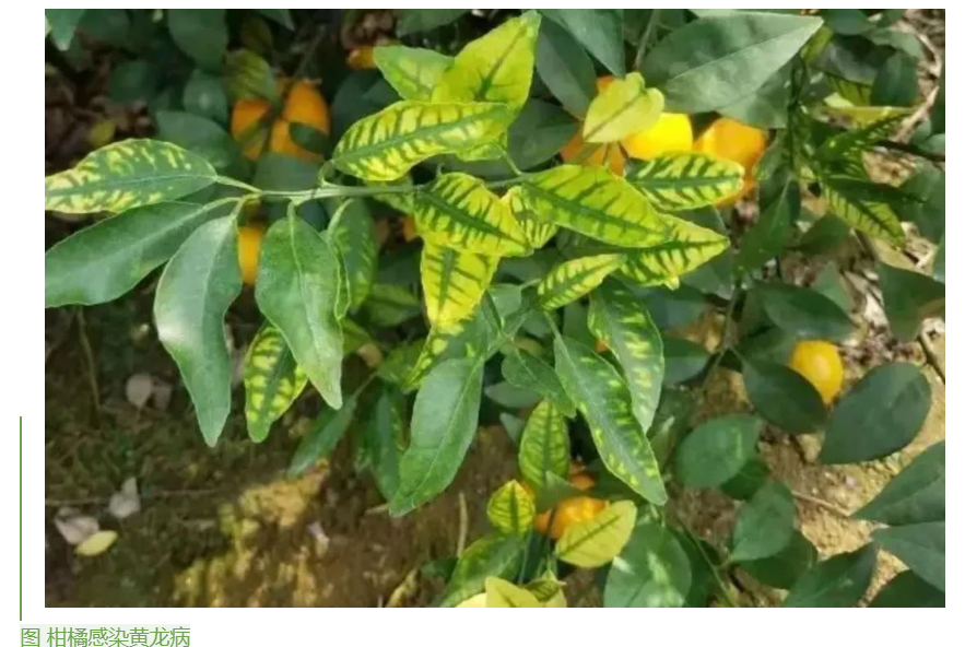 1655859601772087950.png image.png