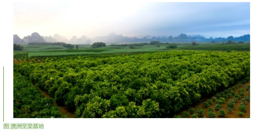 1655859646996029120.png image.png