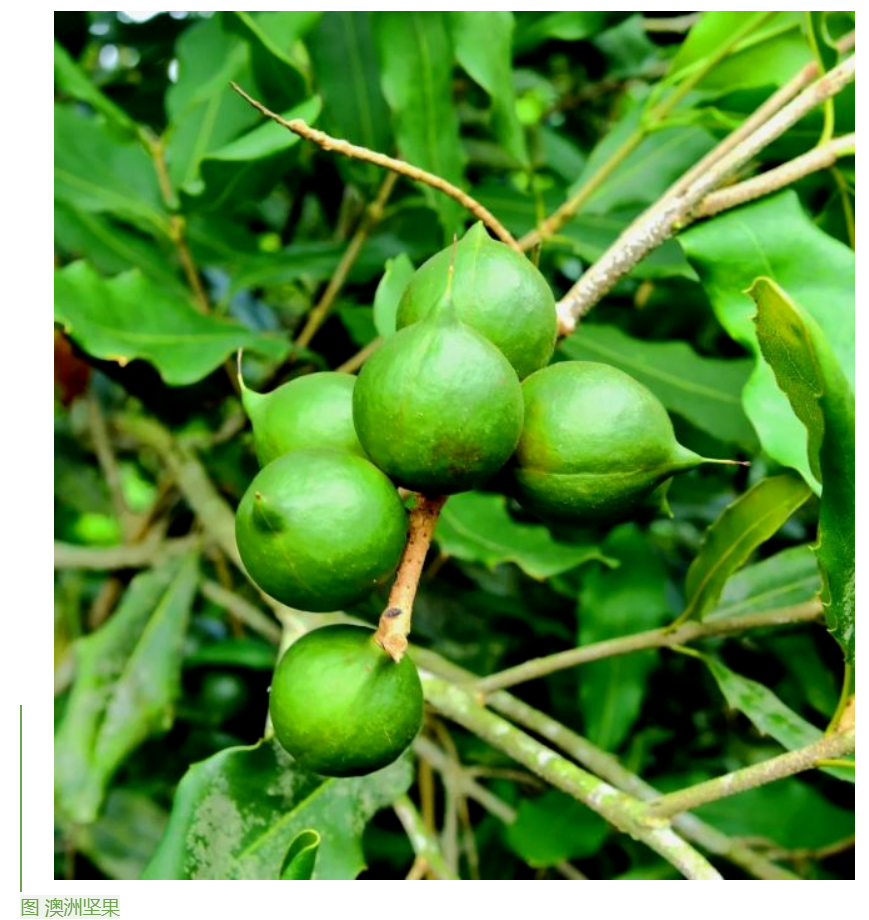 1655859807577010249.png image.png