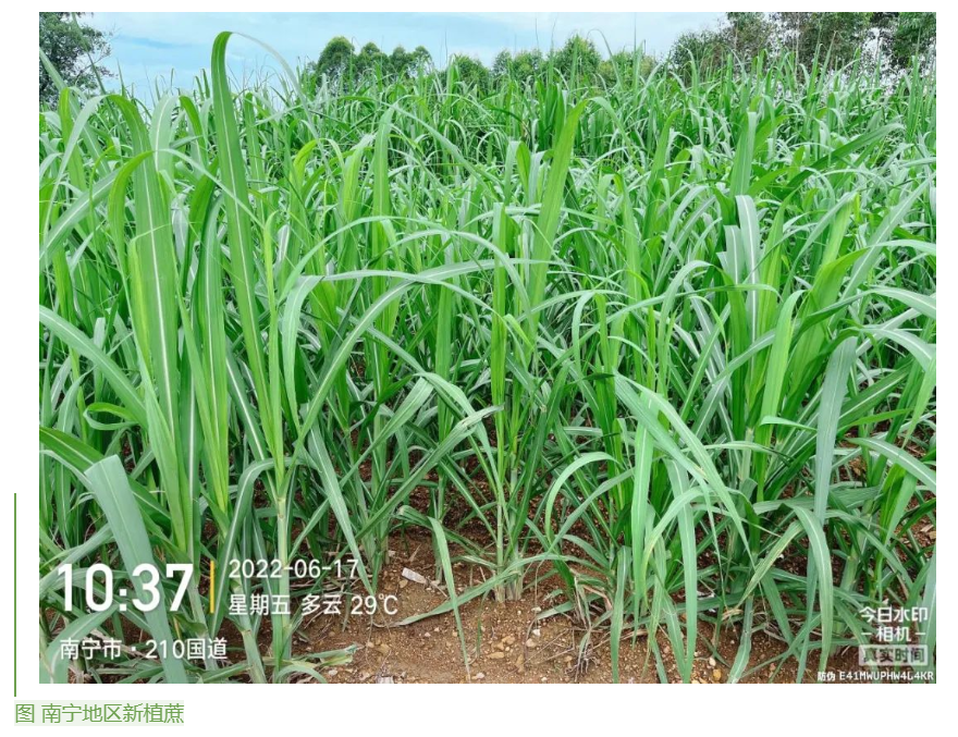 1655859854504090999.png image.png