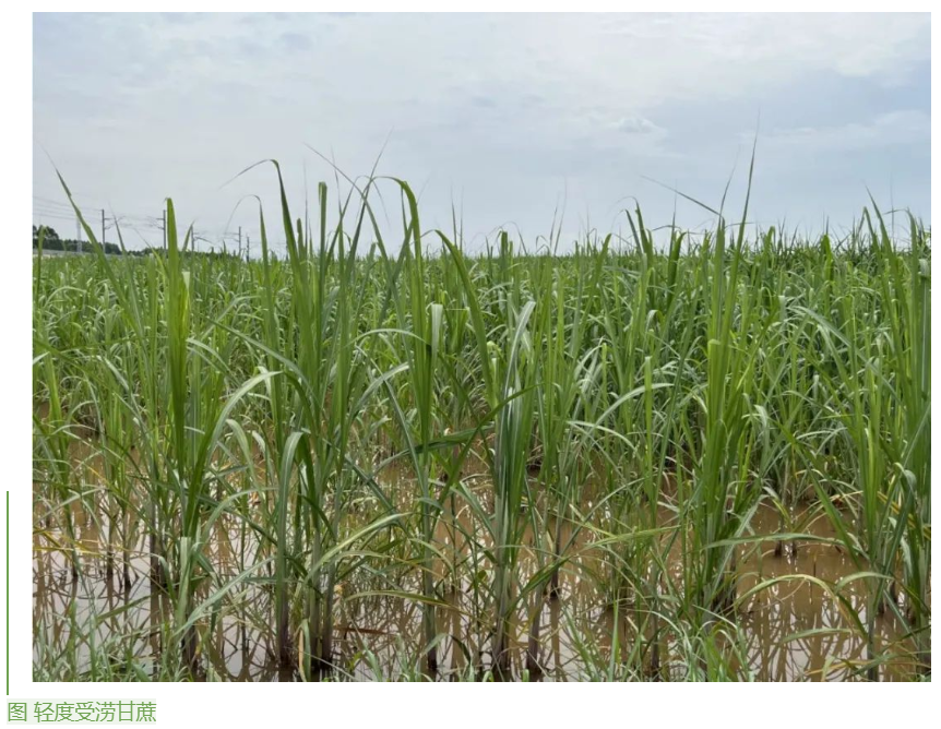 1655859884557025615.png image.png