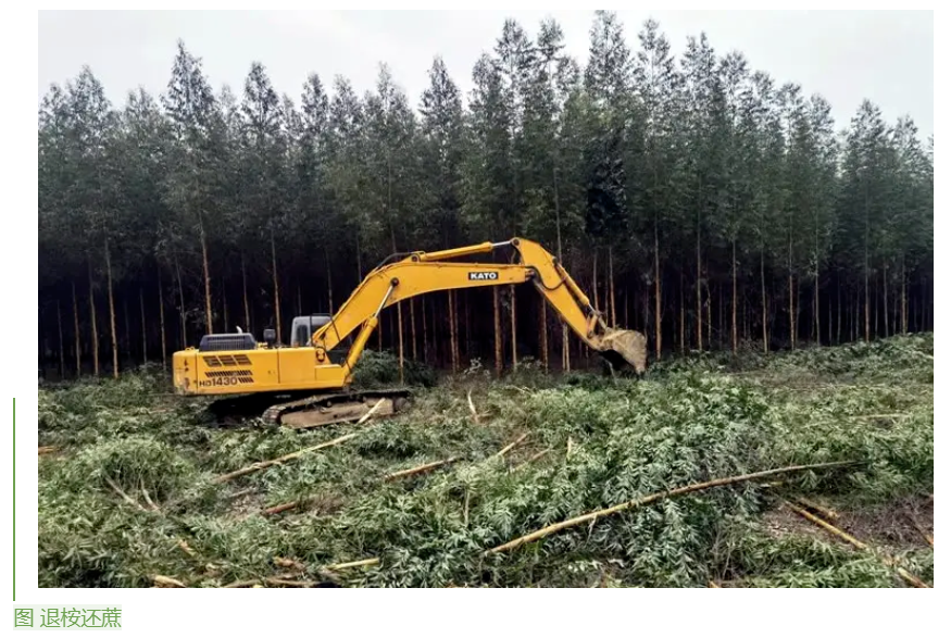 1655859939359044424.png image.png