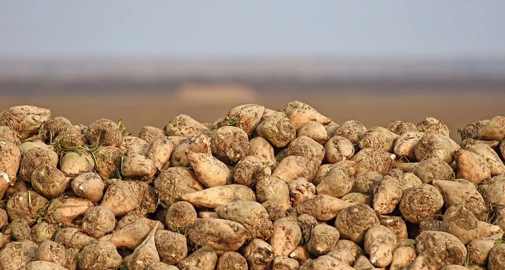 1656320946527002985.jpg 微信图片_20220627170857.jpg