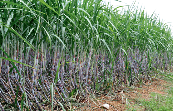 1663894947945022433.png 微信图片_20220923090211.png