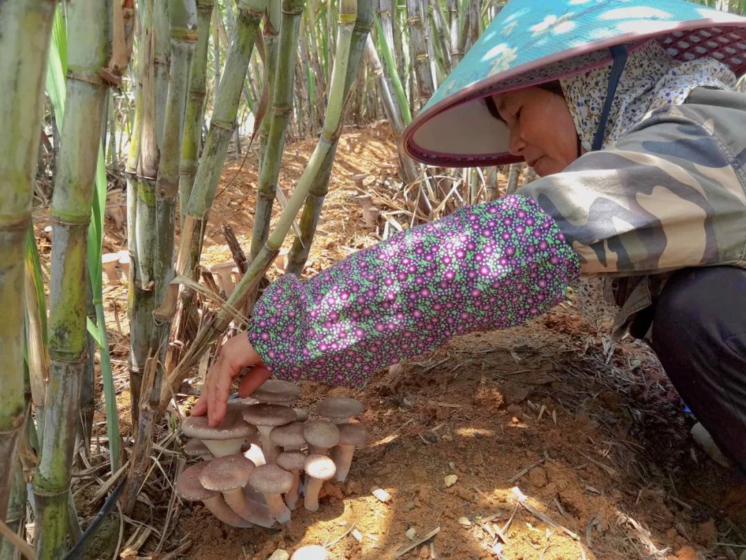 1663914118630092082.jpg 10-08-57-52-283825.jpg