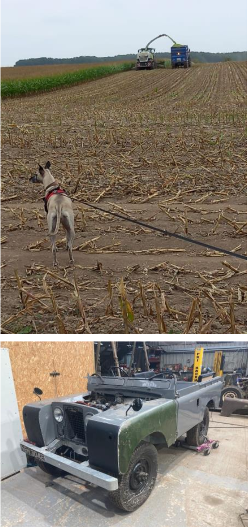 1665308569742023102.png 047418d0a45325db96bb01818350138b.png