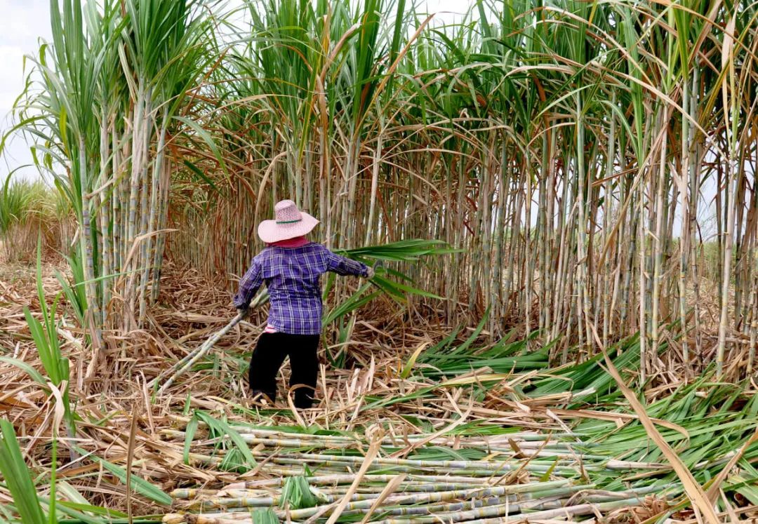 1666084085467023462.jpg 微信图片_20221018170749.jpg