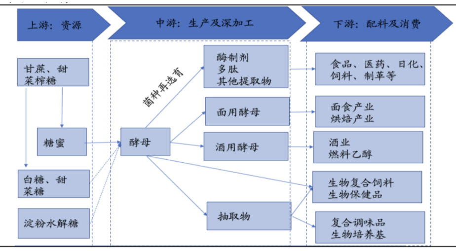 1669080162704065541.png image.png