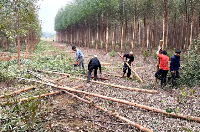 1673570738289083980.png 1639eba777263a6f8edc79bf5443dffd.png