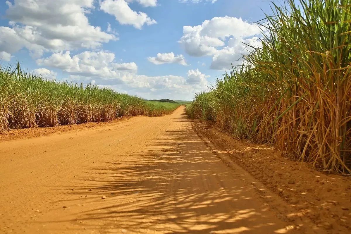 1675126880560058126.jpg a1b041e65d979fb774b62fbedfccc8e2.jpg