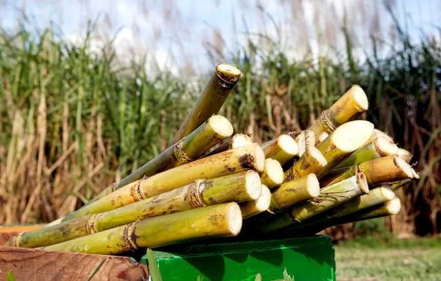 1675300432736088790.jpg 6.jpg