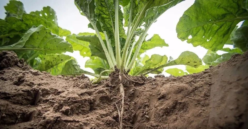 1675300683325084100.jpg 微信图片_20230202091655.jpg