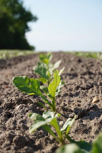 1675300697282015758.jpg 微信图片_20230202091706.jpg