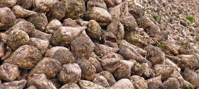 1675300706097039150.jpg 微信图片_20230202091717.jpg