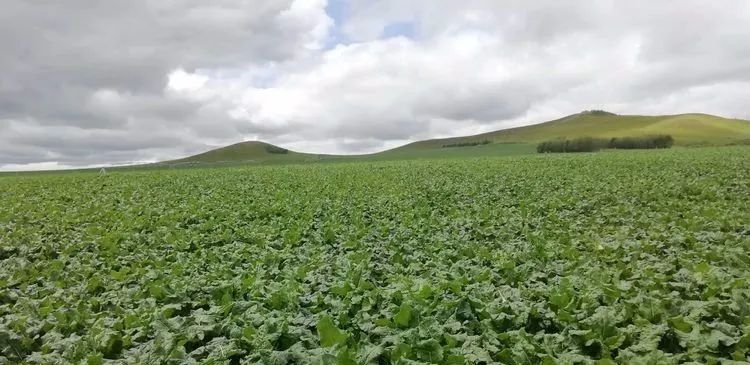 1675300722041027857.jpg 微信图片_20230202091741.jpg