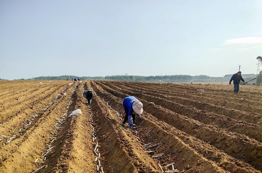 1675646644393085983.jpg LOCAL1675410963612CZTGHSY4PY.jpg