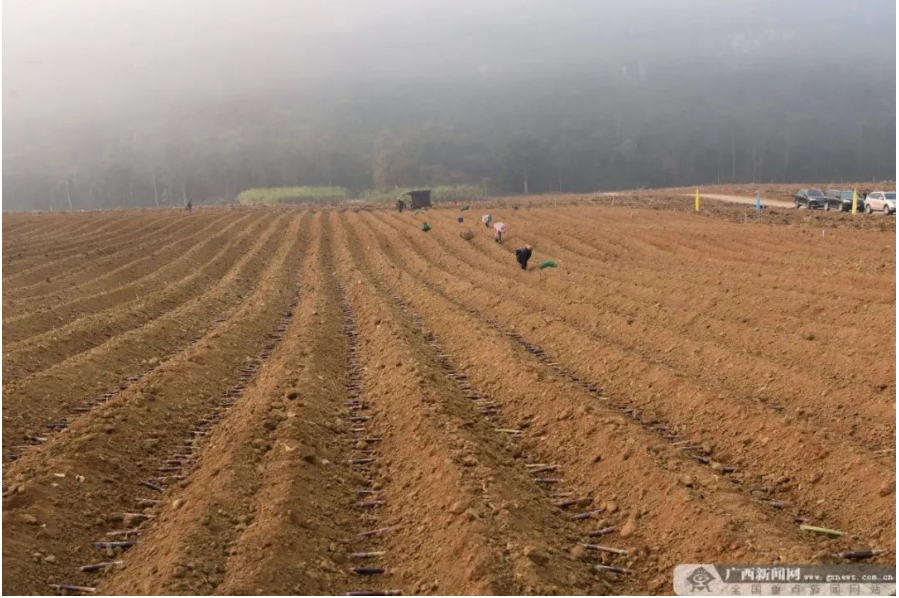 1677737466892012725.png 1677737389782.png