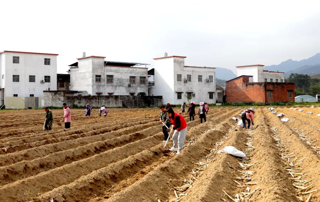 1679362238306026286.jpeg 1.jpeg