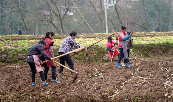 1679446000884040332.jpg 1.jpg